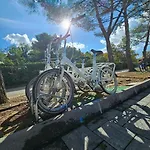 Ocean Beauty Beachfront Lux Boat House In Marina With Sea View And Jacuzzi * Portoroz