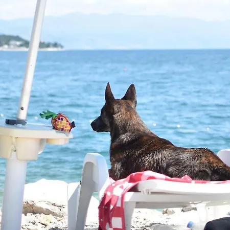 Ferienhaus Ocean Beauty Beachfront House Boat In Portoroz With Sea View And Jacuzzi Portorož